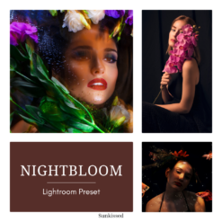 Nightbloom — Preset Trio